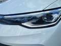 Volkswagen Golf Variant Golf VIII Variant 1.5 TSI GOAL*LED*AHK*KAMERA*NA Weiß - thumbnail 5