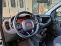 Fiat Panda 4x4 0.9 t.air (AUTOVETTURA)(IVA COMPRESA) - thumbnail 11