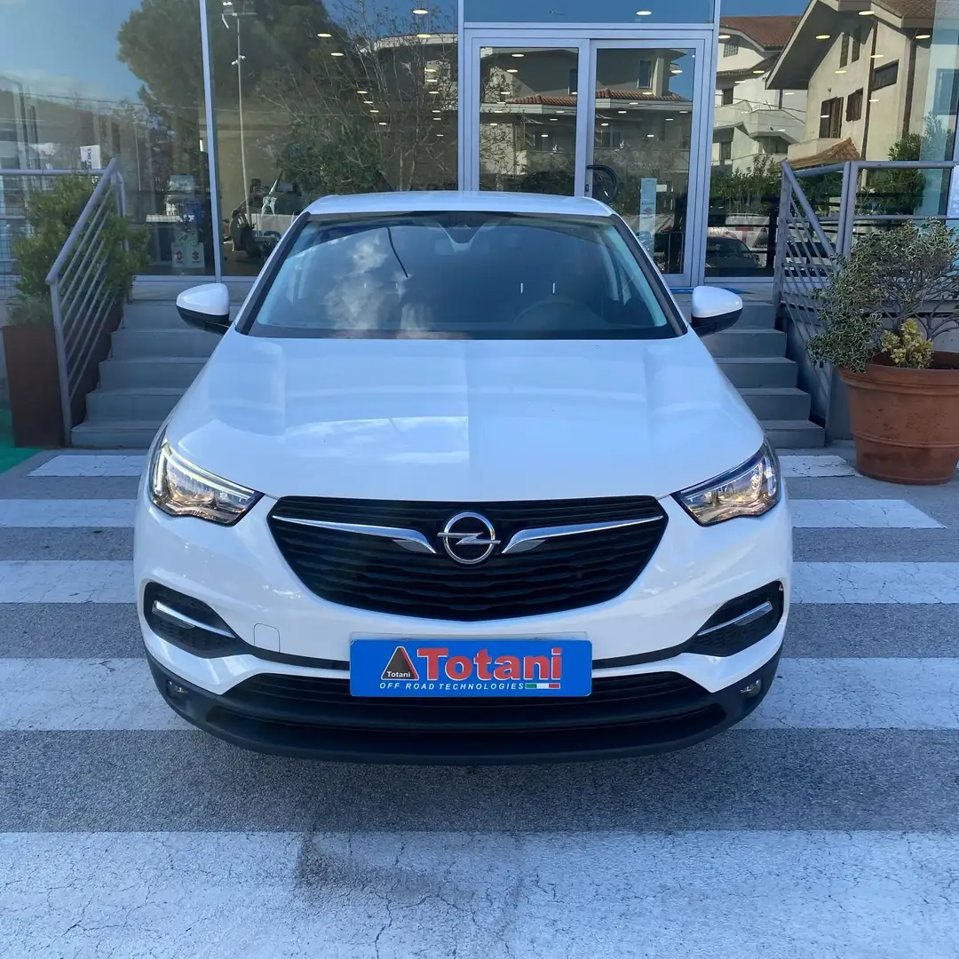Opel Grandland X 1.6 ecotec Launch Edition s&s 120cv Bianco - 2