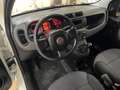 Fiat Panda 1.3 MJT VAN IVA ESPOSTA Alb - thumbnail 5