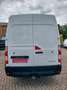 Renault Master III Kasten L2H2 HKa 3,3t Klima Weiß - thumbnail 7