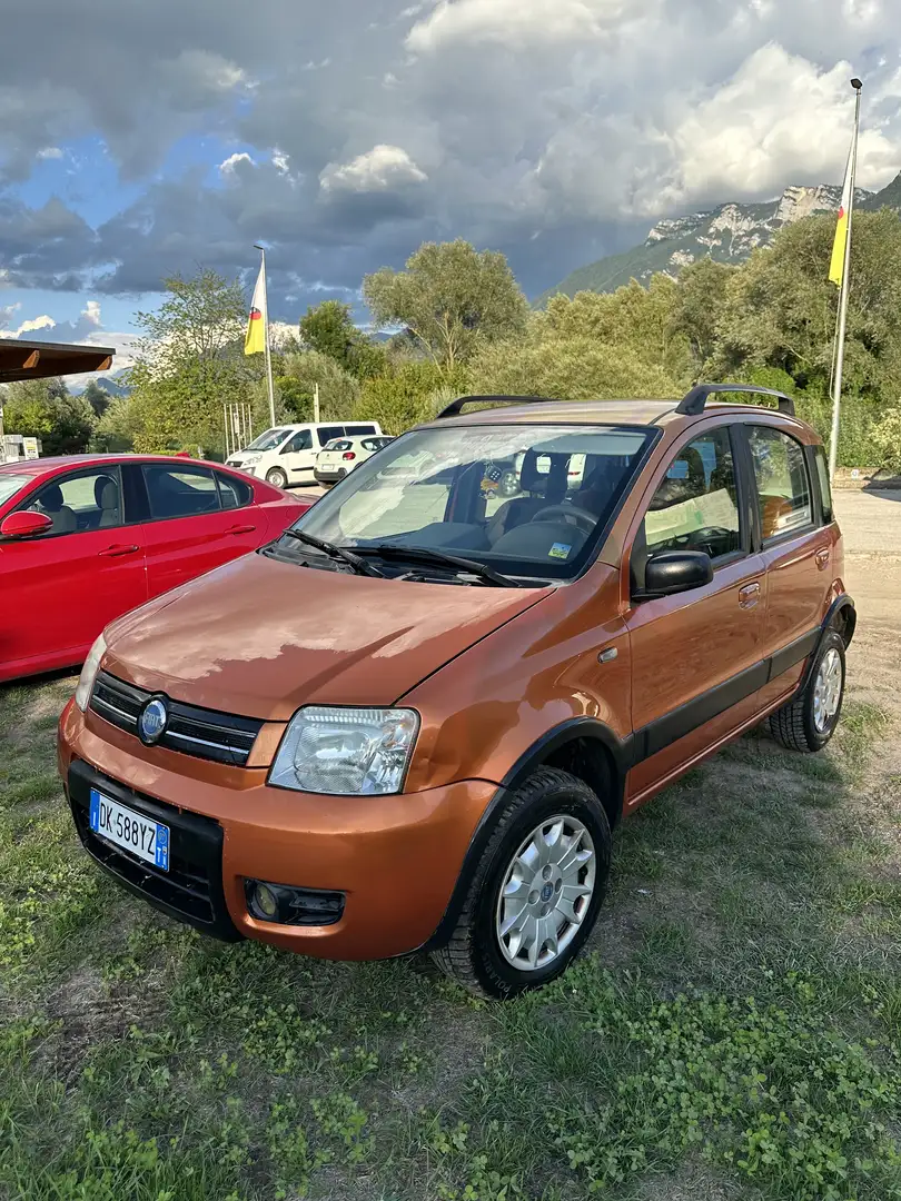 Fiat Panda 1.2 Climbing 4x4 - 2