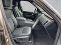 Land Rover Discovery D300 Dynamic SE AHK, Head Up Display Braun - thumbnail 3
