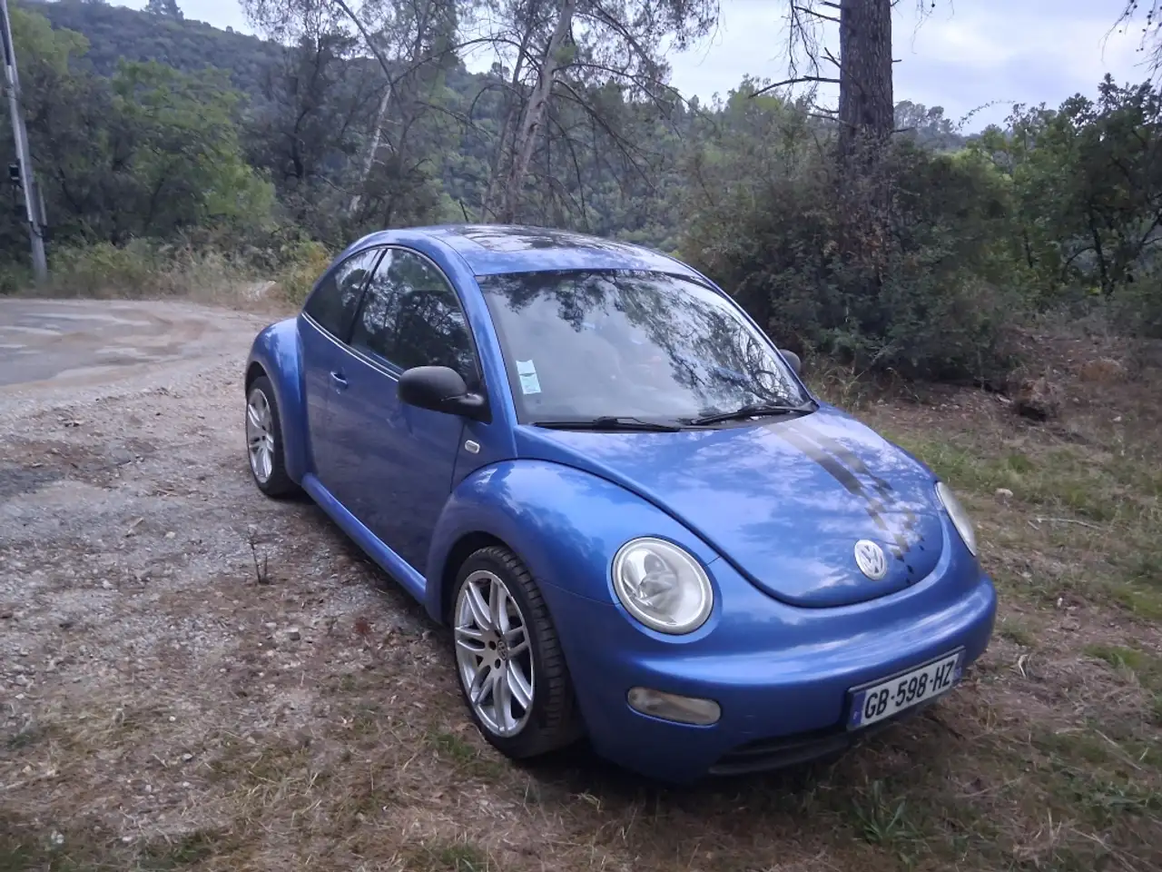 Volkswagen New Beetle 1.6i