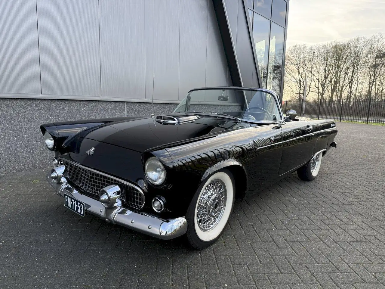 Ford Thunderbird Convertible, foto 2