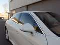 Porsche Panamera Turbo Sport Chrono 2009 Zeer mooi (BTW AUTO) Blanc - thumbnail 18