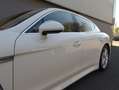 Porsche Panamera Turbo Sport Chrono 2009 Zeer mooi (BTW AUTO) Blanc - thumbnail 24