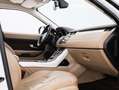 Land Rover Range Rover Evoque 2.2L TD4 Pure 4x4 Aut. - thumbnail 18