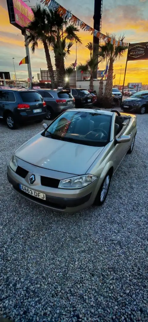 Renault Megane C.C. 2.0 Luxe Privilege Marrón - 1