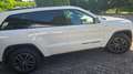 Jeep Grand Cherokee Grand Cherokee 3,0 V6 CRD Trailhawk Trailhawk Weiß - thumbnail 5