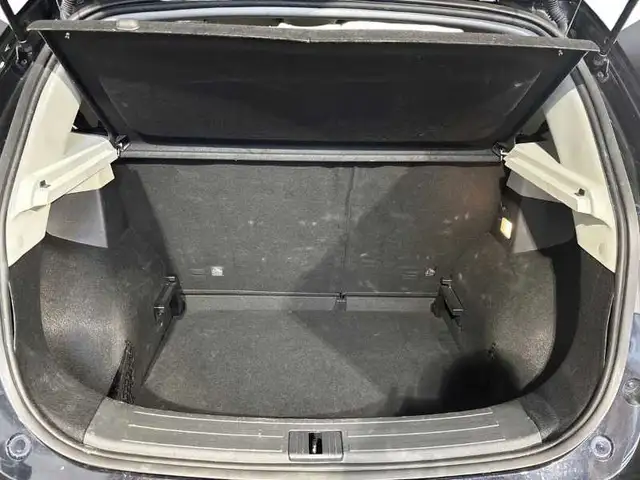 MG ZS view 7