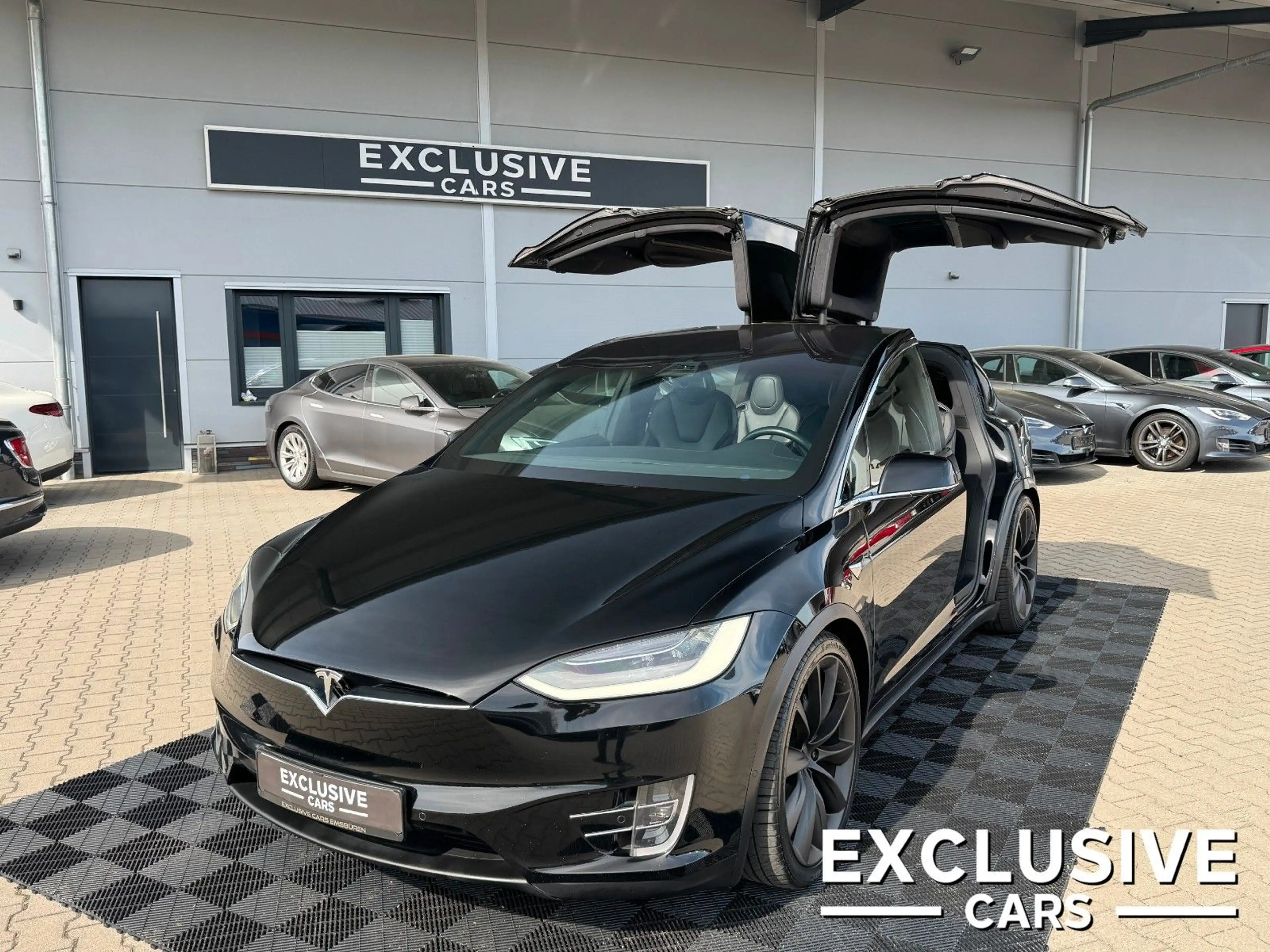 Tesla Model X MODEL X LONG RAVEN | FULL FSD | 22 INCH |