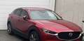 Mazda CX-30 CX-30 G122 AWD Comfort /SO/ST/PR/TE Comfort /SO/ST/PR/TE Rot - thumbnail 1