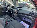 Honda CR-V 1.6i-DTEC Elegance 4x2 120 Burdeos - thumbnail 14