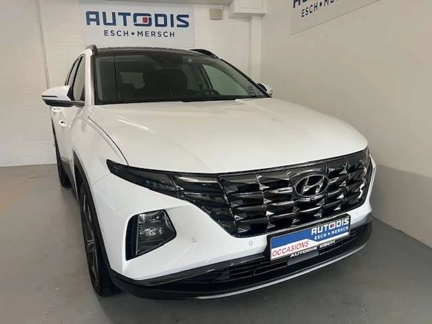 Hyundai TUCSON 1.6 T-GDI HEV 230 SHINE SENSATION Blanc - 2