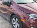 Honda Odyssey 3.5L Rot - thumbnail 5