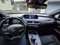 Lexus UX 200 250h 2.0 Executive 2wd cvt Grigio - thumbnail 4
