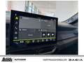 Dacia Bigster TCe 140 Expression NAVI SHZ MULTIVIEWKAM KLIMAAUT. Gris - thumbnail 18