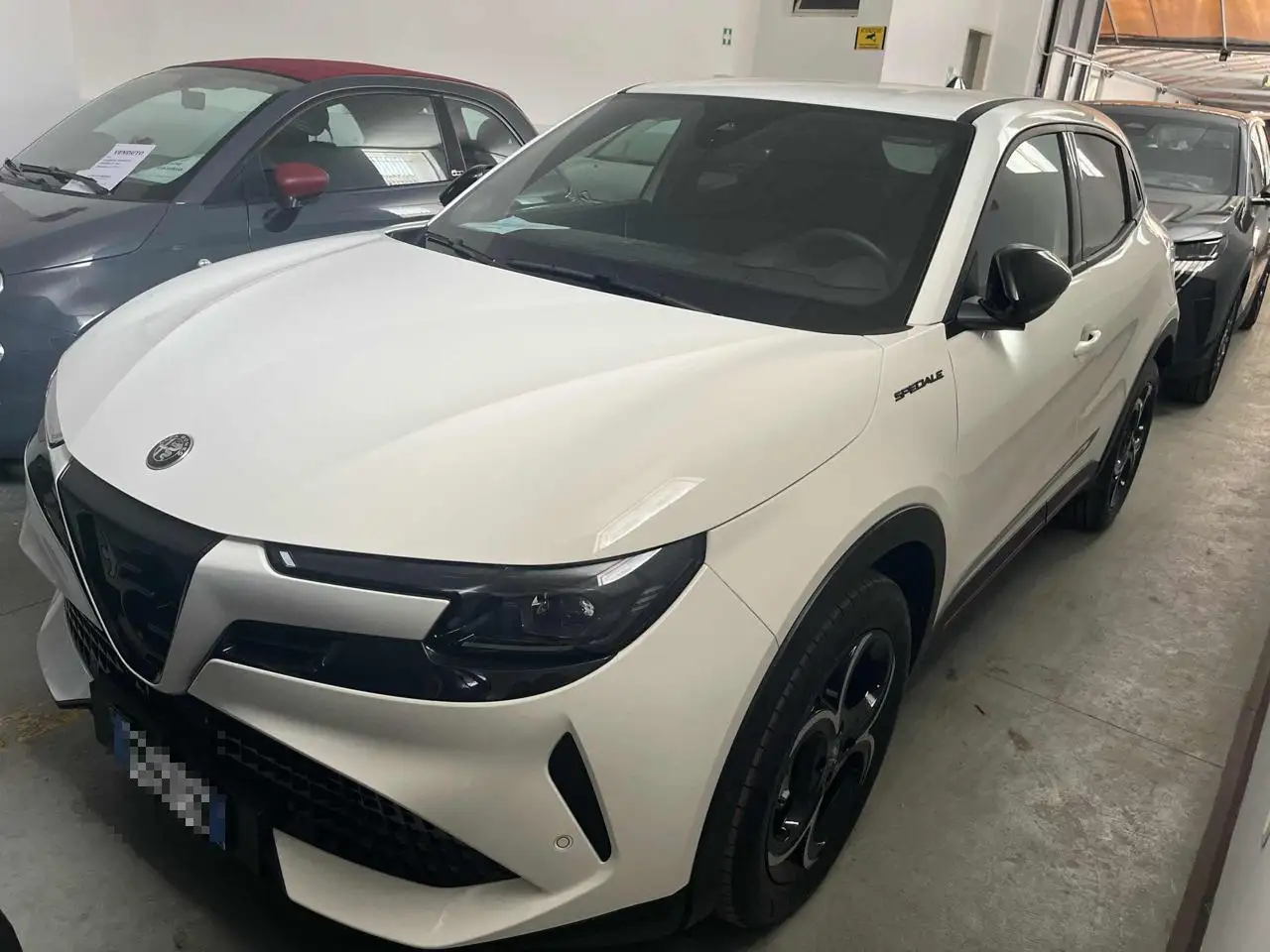 Alfa Romeo Junior 2025