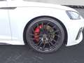 Audi RS5 Essentials 280km/h DRC Pano HUD Weiß - thumbnail 12