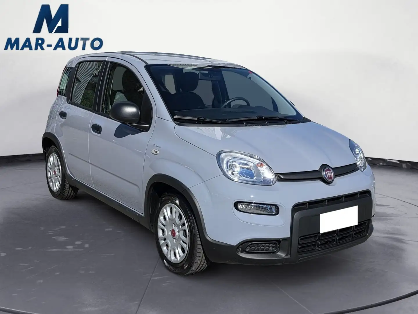 Fiat Panda Panda 1.0 FireFly S&S Hybrid - 2