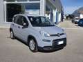 Fiat Panda Panda 1.0 FireFly S&S Hybrid - thumbnail 2