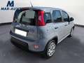 Fiat Panda Panda 1.0 FireFly S&S Hybrid - thumbnail 3