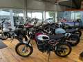 Overig Bullit Hero 125 Wit - thumbnail 9