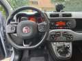 Fiat Panda 1.0 HYBRID CITY CROSS  UNIPROP. Grau - thumbnail 15