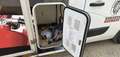 Renault Master L3H2 2.3 dCi 125ch CAISSE amenagé Blanc - thumbnail 9