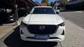 Mazda CX-60 als Homura - Vollausstattung mit AHK Garantie bis Weiß - thumbnail 2