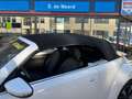 Volkswagen Beetle 1200 cabriolet Weiß - thumbnail 12