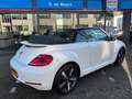 Volkswagen Beetle 1200 cabriolet Weiß - thumbnail 3
