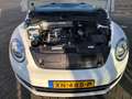 Volkswagen Beetle 1200 cabriolet Weiß - thumbnail 4