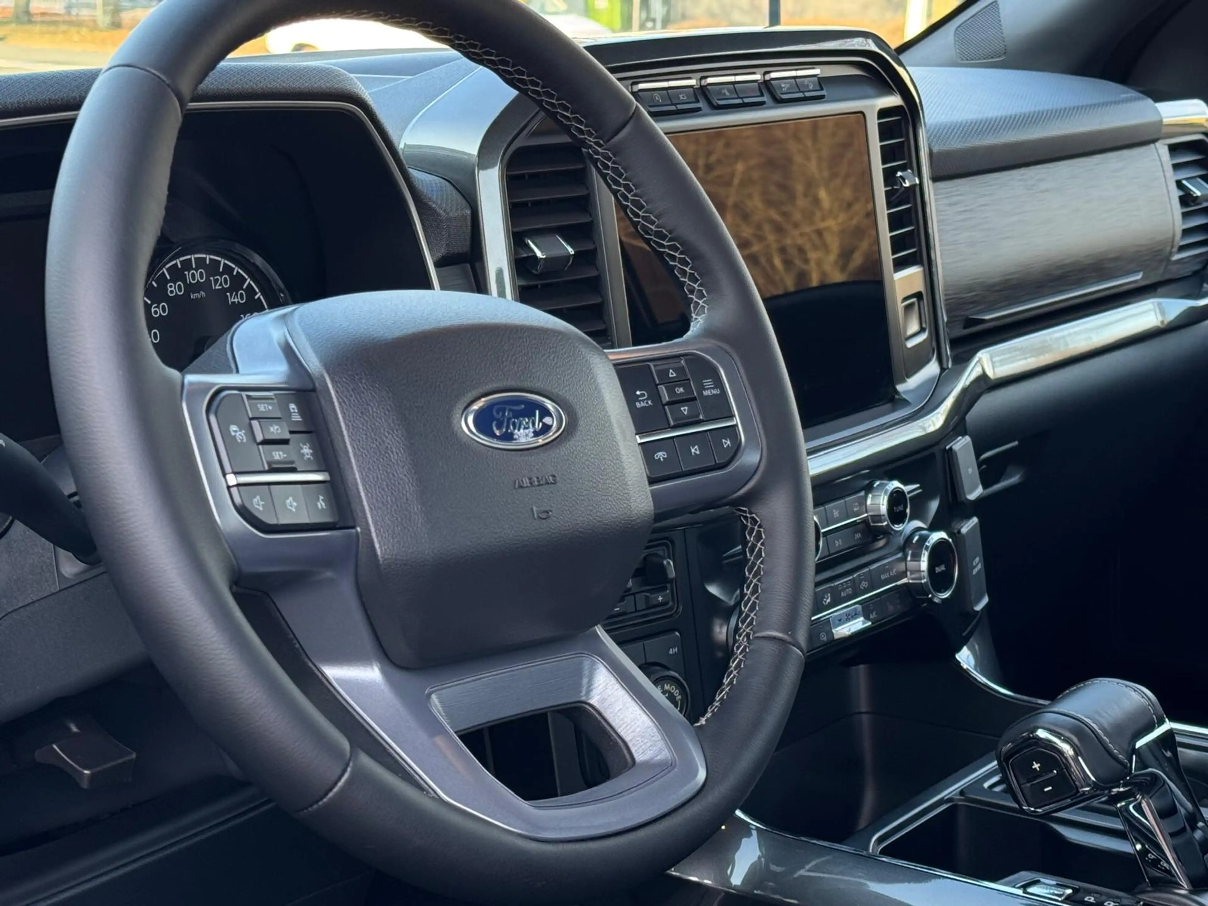 Ford F 150 3.5 V6 Ecoboost XLT FX4 off Road 75 Years Annivers — photo 11