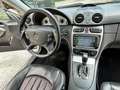 Mercedes-Benz CLK 55 AMG 55 AMG  BA Beige - thumbnail 15