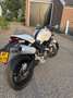 Ducati Monster 696 Wit - thumbnail 5