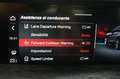 Alfa Romeo Stelvio 2.2 Turbodiesel 190 CV AT8 Q4 Business Blau - thumbnail 14
