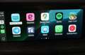 Alfa Romeo Stelvio 2.2 Turbodiesel 190 CV AT8 Q4 Business Blau - thumbnail 15