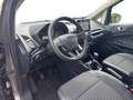 Ford EcoSport Titanium + Winterpaket + Kamera Grau - thumbnail 10