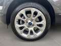 Ford EcoSport Titanium + Winterpaket + Kamera Grau - thumbnail 9