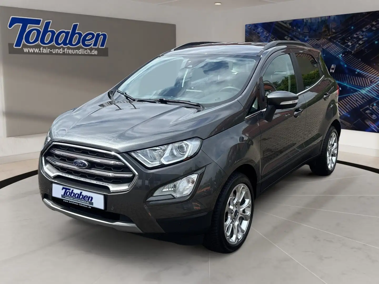 Ford EcoSport Titanium + Winterpaket + Kamera Grau - 1