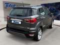 Ford EcoSport Titanium + Winterpaket + Kamera Grau - thumbnail 5
