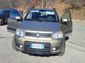 Fiat Panda Panda II 2003 1.2 Climbing 4x4 Goud - thumbnail 1