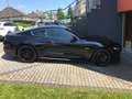 Ford Mustang Mustang 5.0 Ti-VCT V8 GT Noir - thumbnail 1