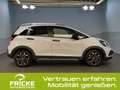 Honda Jazz Hybrid Crosstar Advance  Automatik+Keyless+Navi+LE Weiß - thumbnail 9