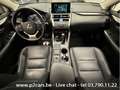 Lexus NX 300h Executive + 4X4 Noir - thumbnail 19