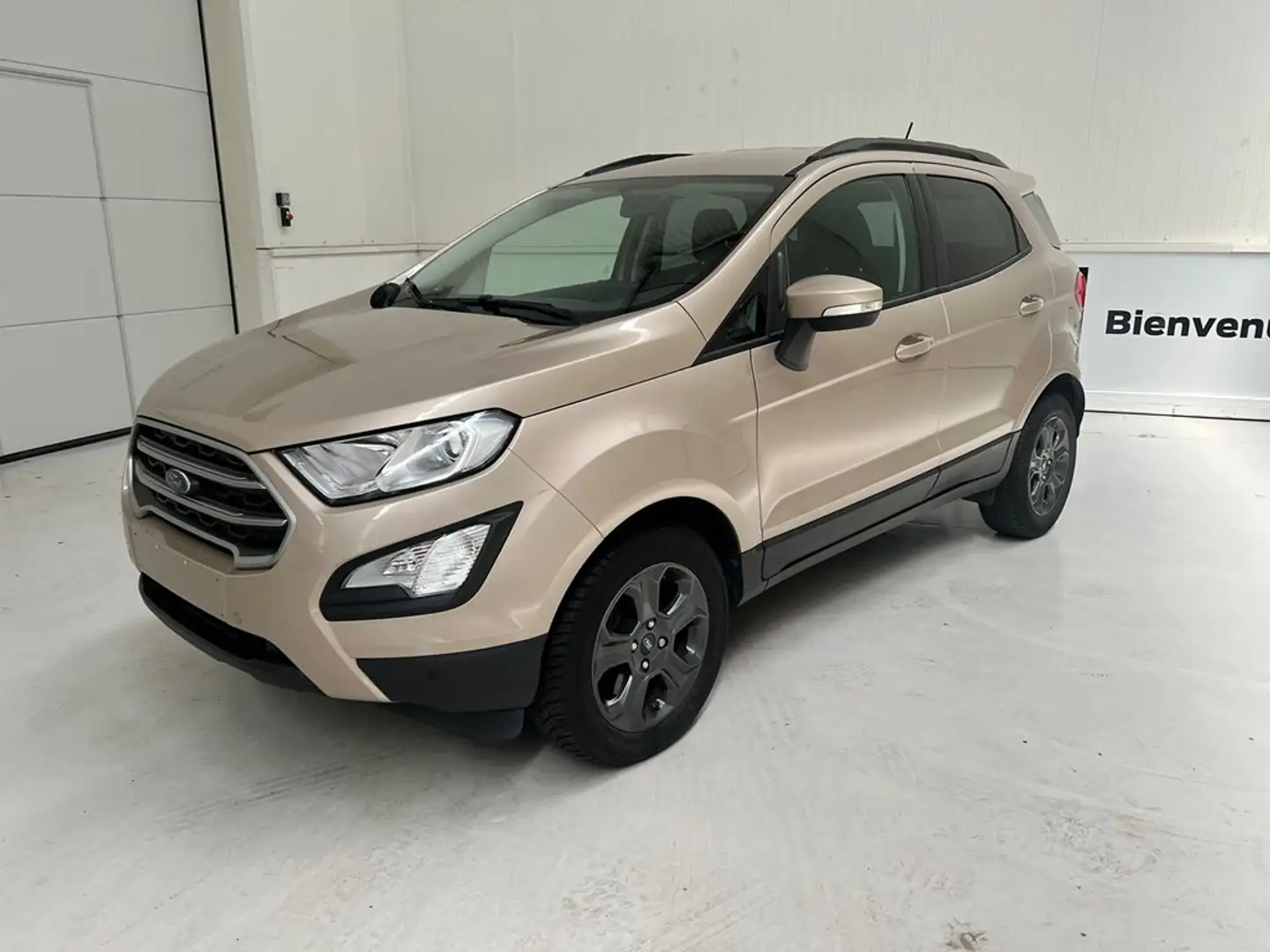 Ford EcoSport * Automaat - Garantie * Beige - 1