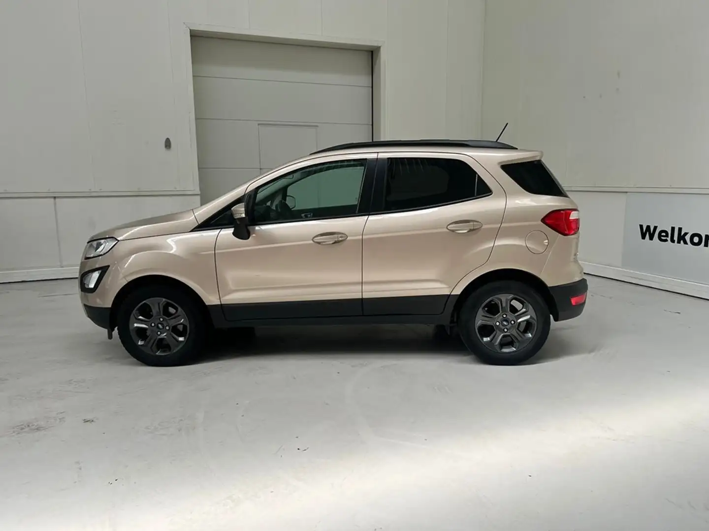 Ford EcoSport * Automaat - Garantie * Beige - 2