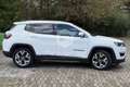 Jeep Compass Compass 1.6 Multijet II 2WD Limited Bianco - thumbnail 14
